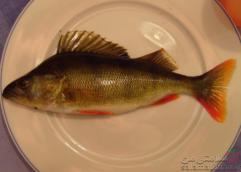 ماهی لوتی ، پخته
