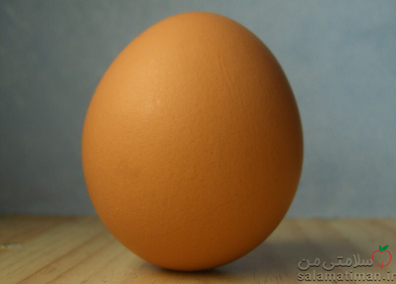 تخم اردک (خام)