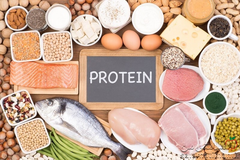 نقش پروتئین در بدنسازی