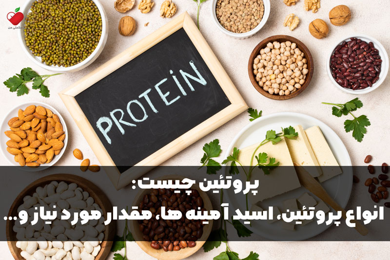 پروتئین چیست: انواع پروتئین، اسید آمینه ها، مقدار مورد نیاز و ..