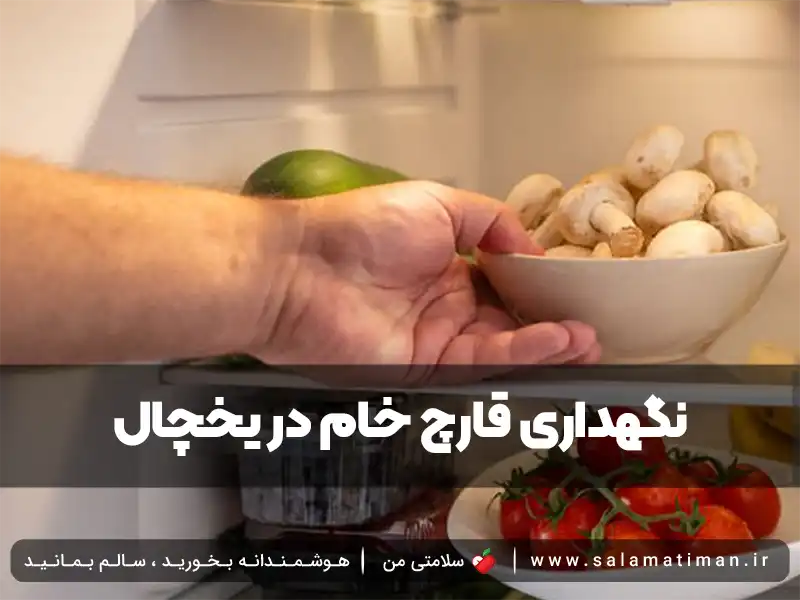 نکات کلیدی درباره نگهداری قارچ خام در یخچال